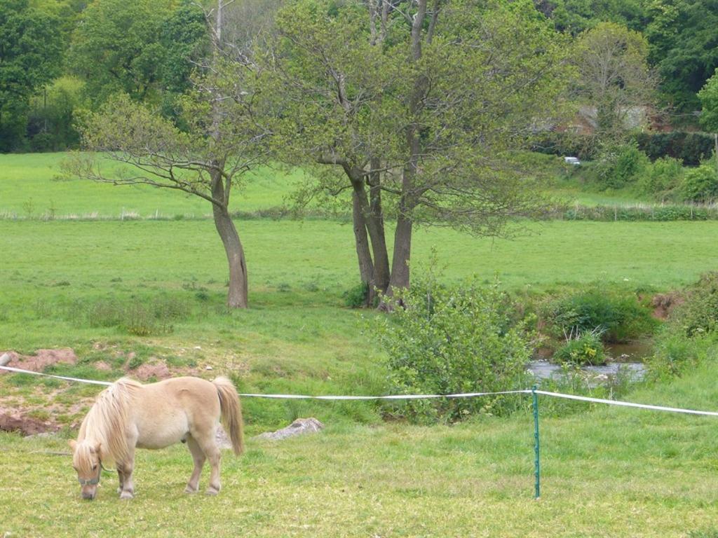 Mill Farm Villa Exeter Eksteriør billede