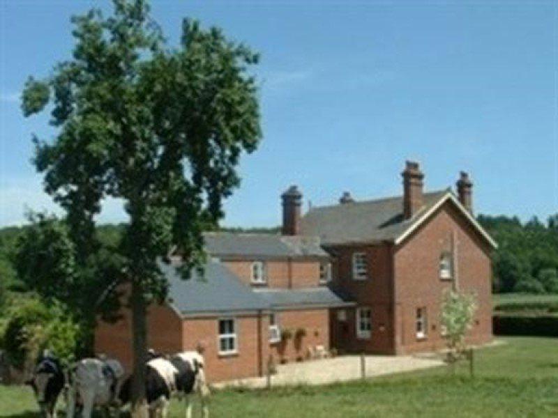 Mill Farm Villa Exeter Eksteriør billede